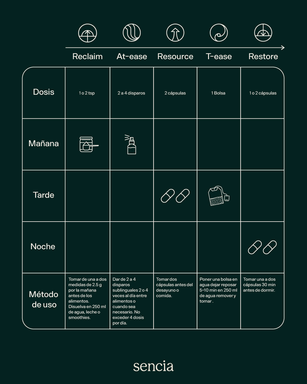 Essential Kit | Balance y bienestar
