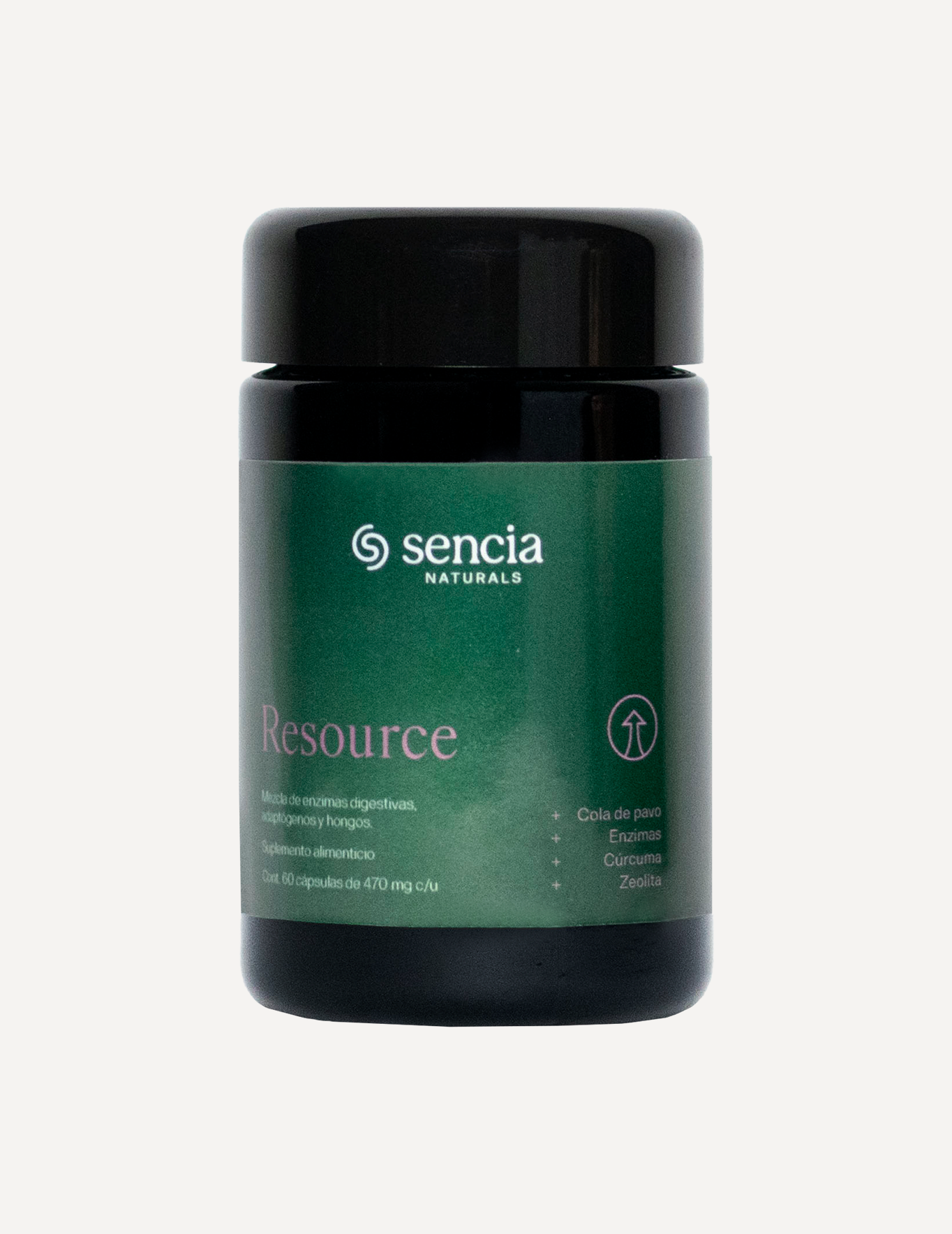 Resource | Digestión y energía