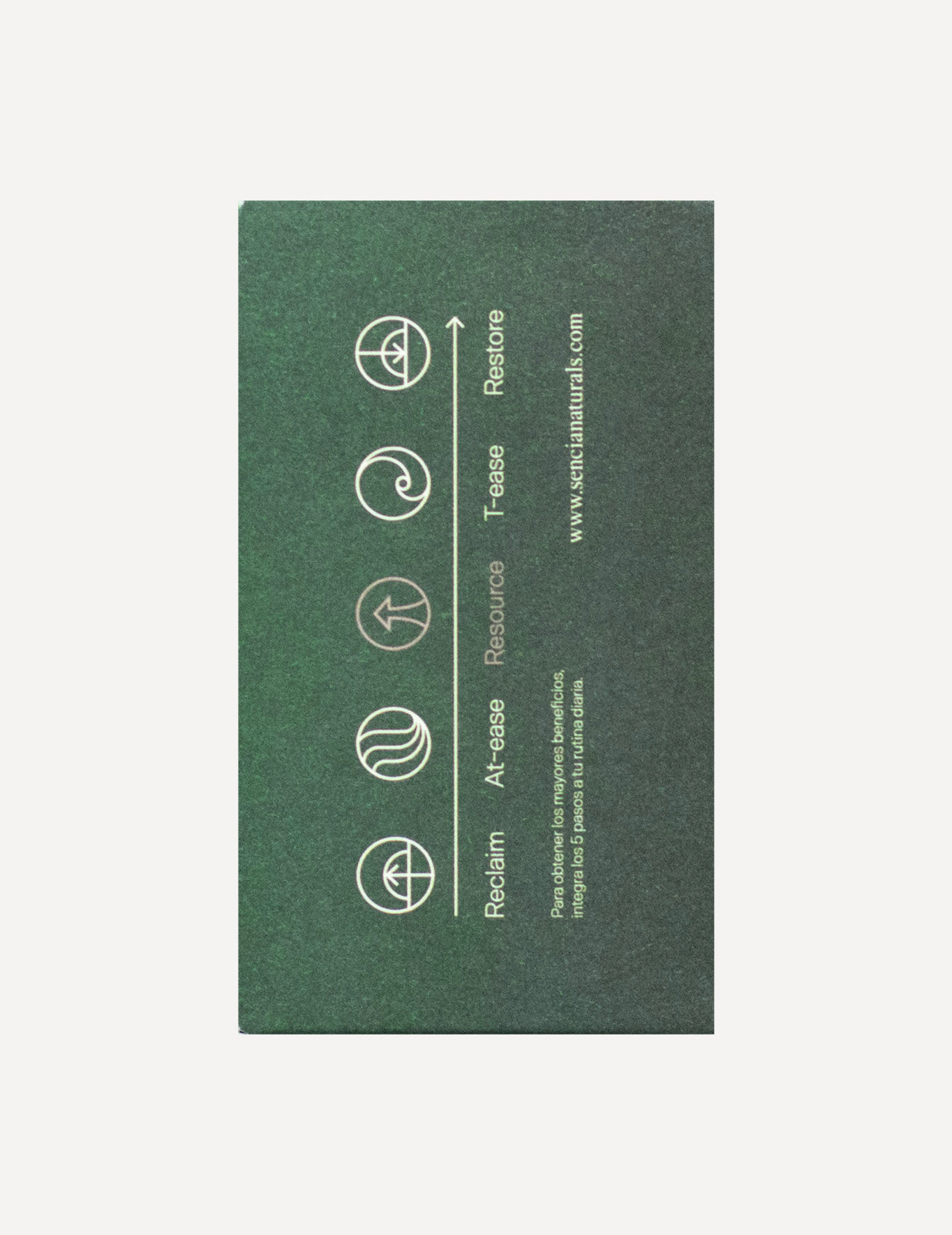 Resource | Digestión y energía