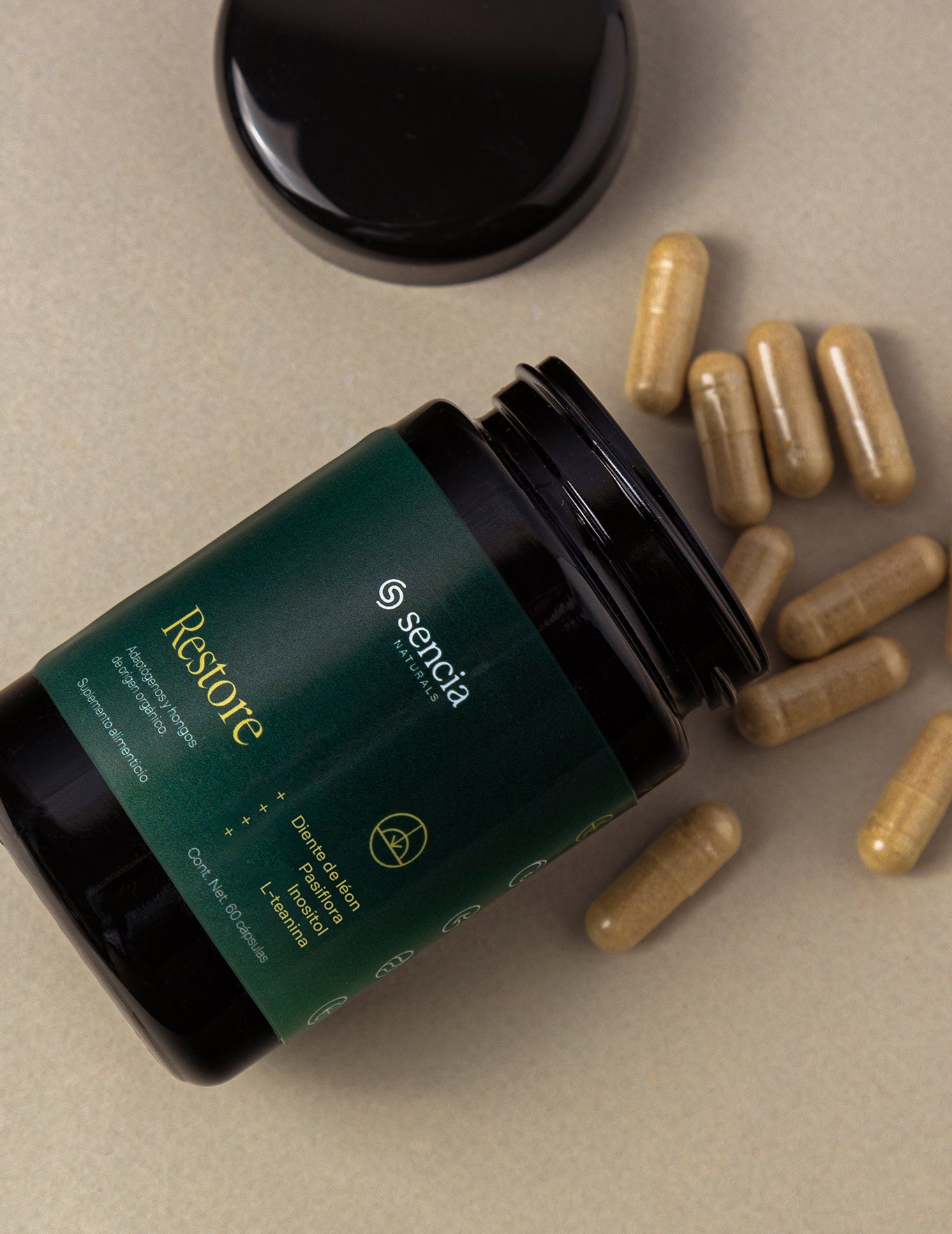 Restore | Relajación y descanso