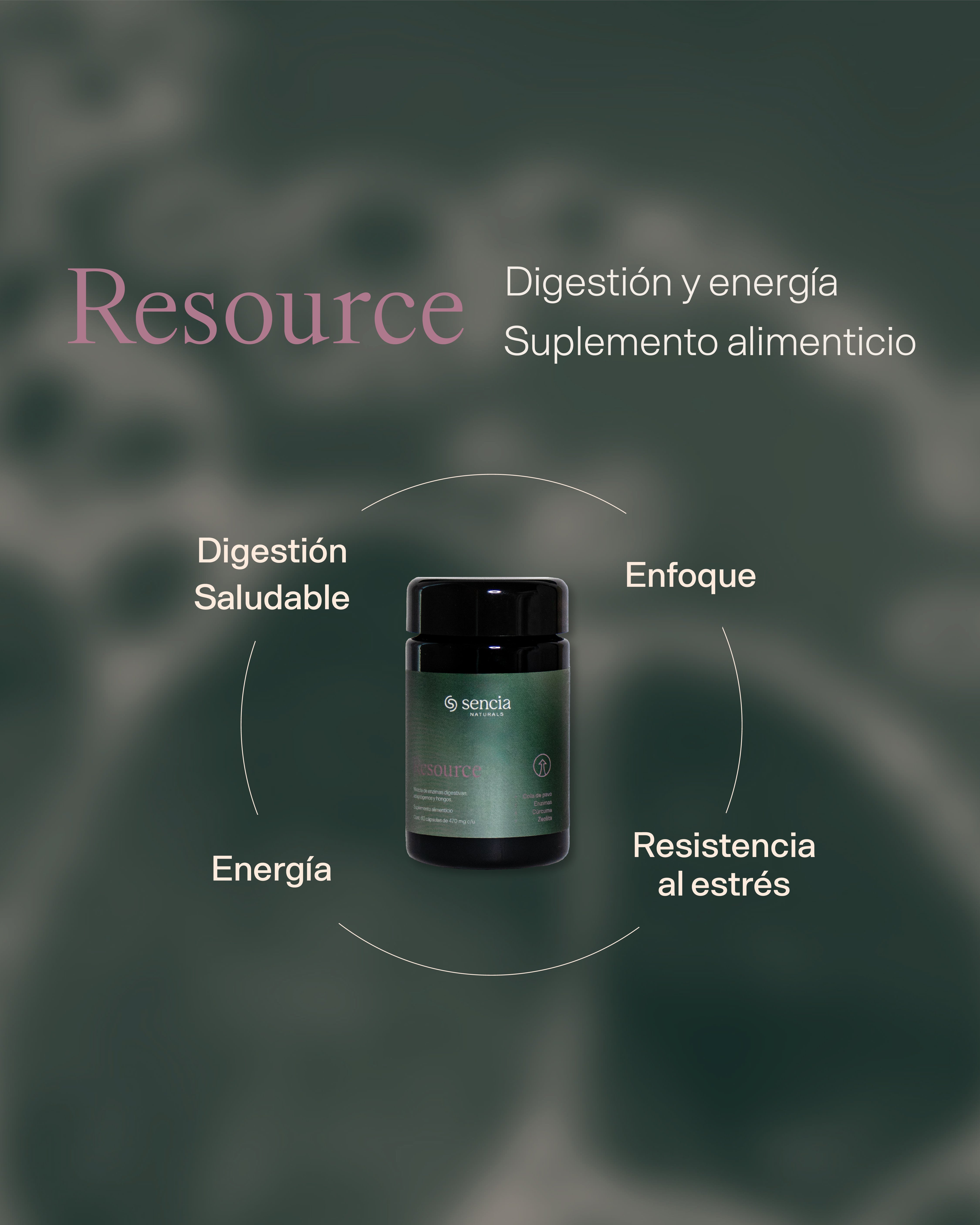 Resource | Digestión y energía
