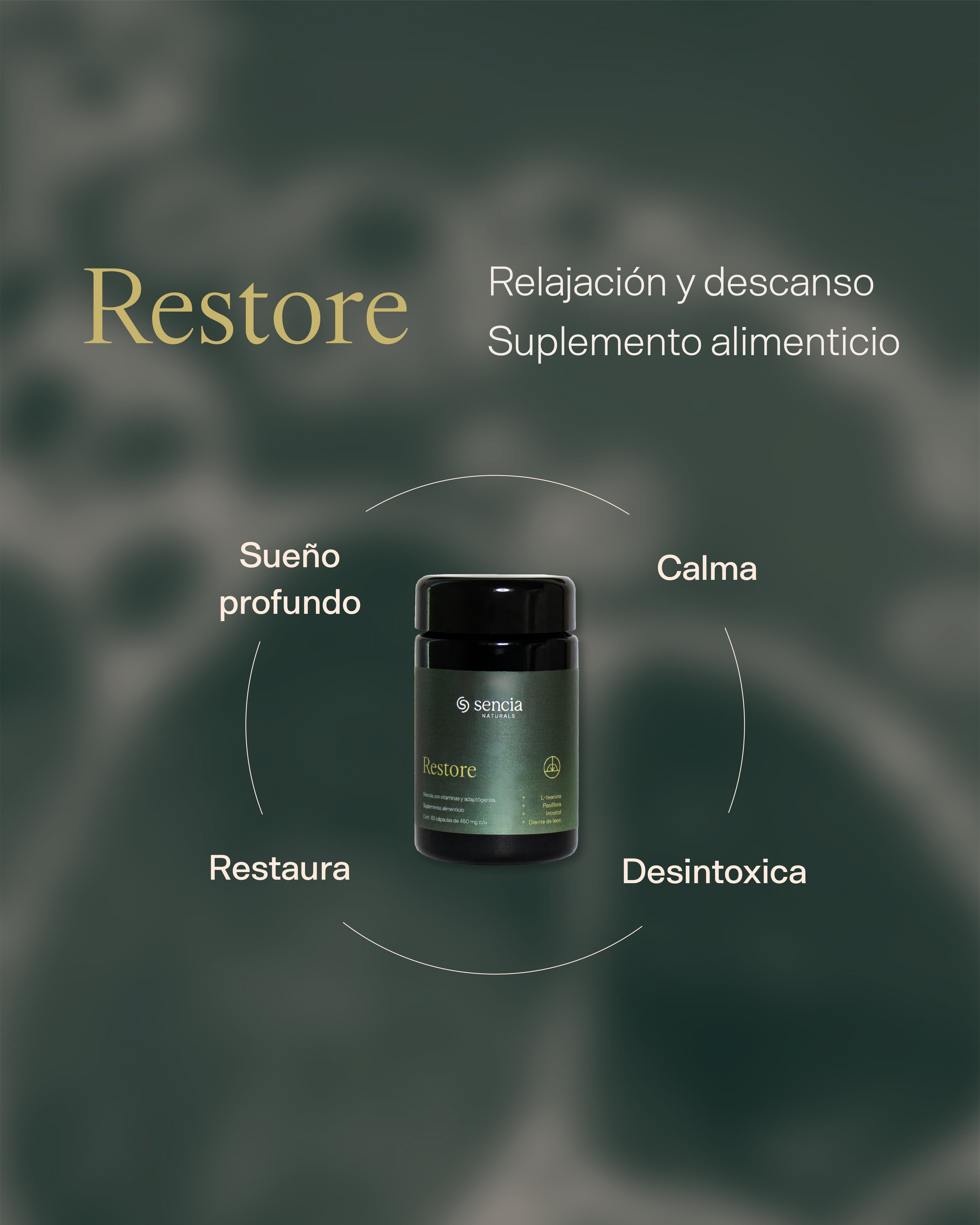 Restore | Relajación y descanso